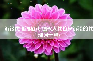 诉讼代理词格式(债权人代位权诉讼的代理词一篇)