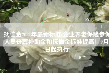 抚恤金2021年最新标准(企业养老保险参保人员丧葬补助金和抚恤金标准提高！9月1日起执行)