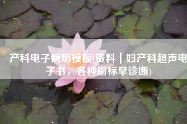 产科电子病历模板(资料｜妇产科超声电子书，各种指标早诊断)