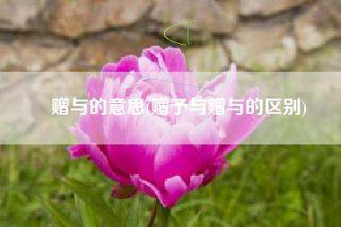 赠与的意思(赠予与赠与的区别)