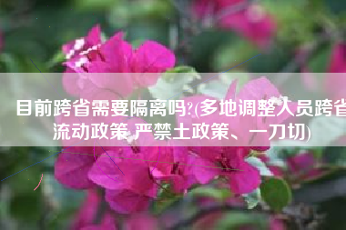目前跨省需要隔离吗?(多地调整人员跨省流动政策 严禁土政策、一刀切)