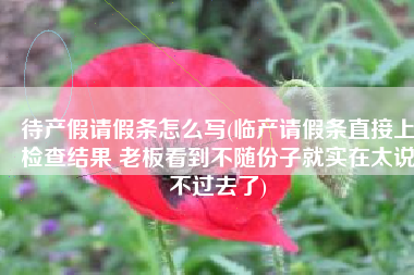 待产假请假条怎么写(临产请假条直接上检查结果 老板看到不随份子就实在太说不过去了)
