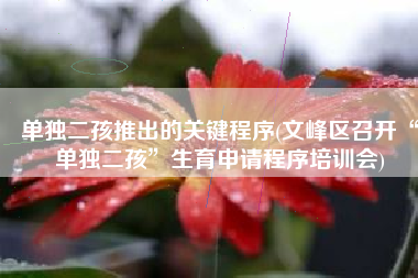 单独二孩推出的关键程序(文峰区召开“单独二孩”生育申请程序培训会)