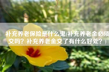 补充养老保险是什么鬼(补充养老金必须交吗？补充养老金交了有什么好处？)