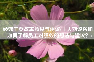 绩效工资改革意见与建议(「大刘谈咨询」如何了解员工对绩效的想法与建议？)