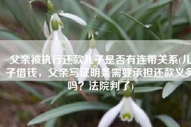 父亲被执行还款儿子是否有连带关系(儿子借钱，父亲写证明条需要承担还款义务吗？法院判了)