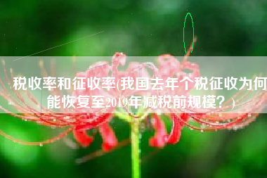 税收率和征收率(我国去年个税征收为何能恢复至2019年减税前规模？)