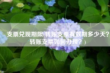 支票兑现期限(转账支票有效期多少天？转账支票如何办理？)