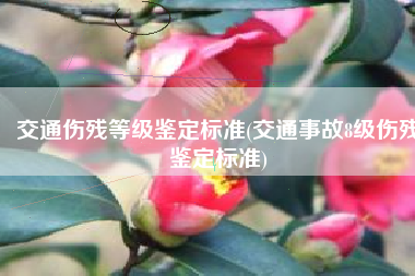 交通伤残等级鉴定标准(交通事故8级伤残鉴定标准)