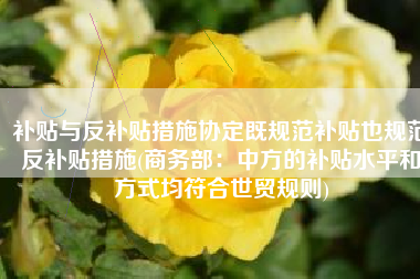 补贴与反补贴措施协定既规范补贴也规范反补贴措施(商务部：中方的补贴水平和方式均符合世贸规则)
