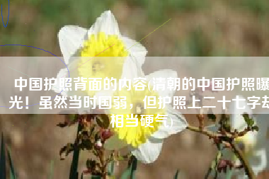 中国护照背面的内容(清朝的中国护照曝光！虽然当时国弱，但护照上二十七字却相当硬气)