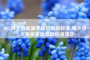 2022河北省交通事故赔偿新标准(城乡统一 人身损害赔偿新标准落地)