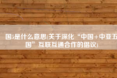 国5是什么意思(关于深化“中国+中亚五国”互联互通合作的倡议)
