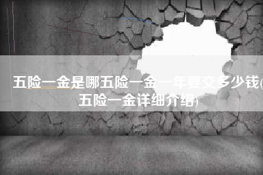 五险一金是哪五险一金一年要交多少钱(五险一金详细介绍)