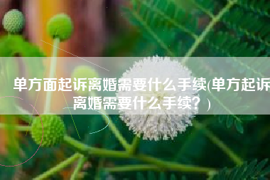 单方面起诉离婚需要什么手续(单方起诉离婚需要什么手续？)
