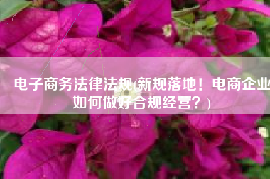 电子商务法律法规(新规落地！电商企业如何做好合规经营？)