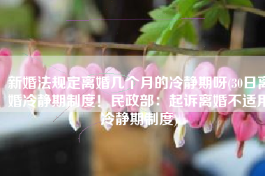 新婚法规定离婚几个月的冷静期呀(30日离婚冷静期制度！民政部：起诉离婚不适用冷静期制度)