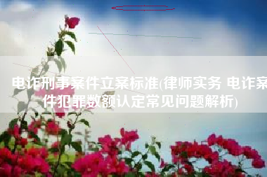 电诈刑事案件立案标准(律师实务 电诈案件犯罪数额认定常见问题解析)