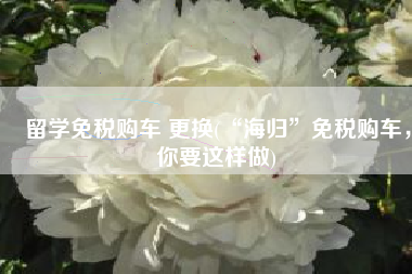 留学免税购车 更换(“海归”免税购车，你要这样做)