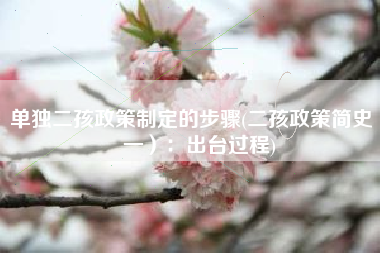 单独二孩政策制定的步骤(二孩政策简史（一）：出台过程)