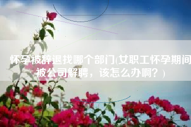 怀孕被辞退找哪个部门(女职工怀孕期间被公司解聘，该怎么办啊？)