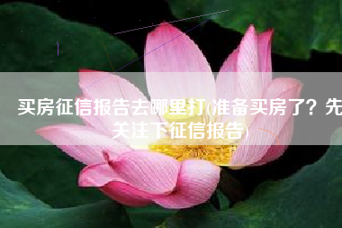 买房征信报告去哪里打(准备买房了？先关注下征信报告)