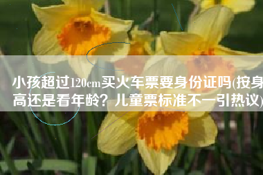 小孩超过120cm买火车票要身份证吗(按身高还是看年龄？儿童票标准不一引热议)