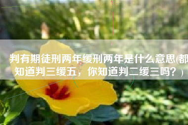 判有期徒刑两年缓刑两年是什么意思(都知道判三缓五，你知道判二缓三吗？)
