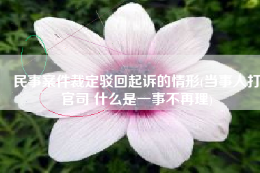 民事案件裁定驳回起诉的情形(当事人打官司 什么是一事不再理)