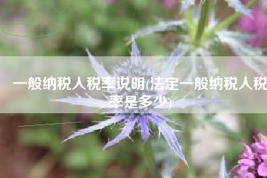 一般纳税人税率说明(法定一般纳税人税率是多少)