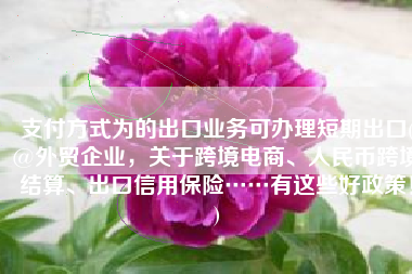 支付方式为的出口业务可办理短期出口(@外贸企业，关于跨境电商、人民币跨境结算、出口信用保险……有这些好政策！)