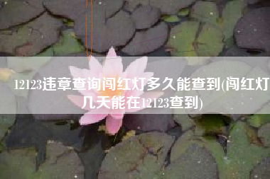 12123违章查询闯红灯多久能查到(闯红灯几天能在12123查到)