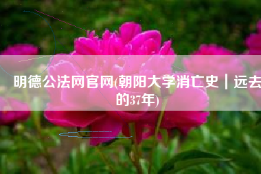 明德公法网官网(朝阳大学消亡史｜远去的37年)