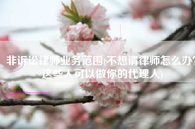 非诉讼律师业务范围(不想请律师怎么办？这些人可以做你的代理人)