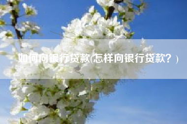 如何向银行贷款(怎样向银行贷款？)