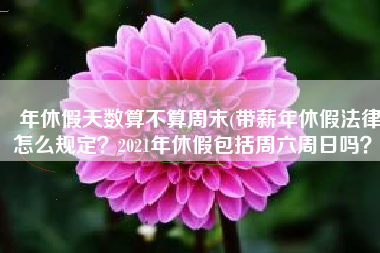 年休假天数算不算周末(带薪年休假法律怎么规定？2021年休假包括周六周日吗？)