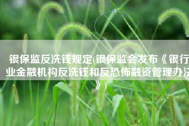 银保监反洗钱规定(银保监会发布《银行业金融机构反洗钱和反恐怖融资管理办法》)