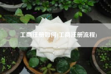 工商注册如何(工商注册流程)