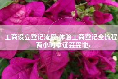 工商设立登记流程(体验工商登记全流程： 两小时拿证妥妥地)