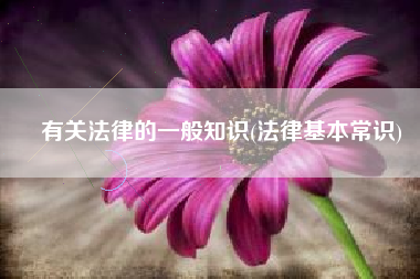 有关法律的一般知识(法律基本常识)