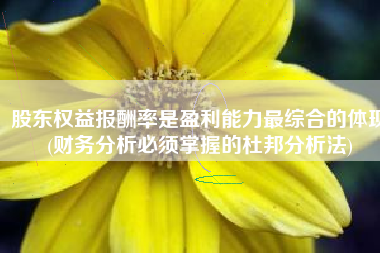 股东权益报酬率是盈利能力最综合的体现(财务分析必须掌握的杜邦分析法)