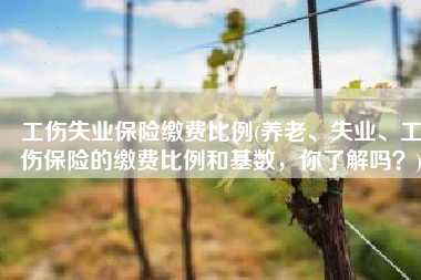 工伤失业保险缴费比例(养老、失业、工伤保险的缴费比例和基数，你了解吗？)