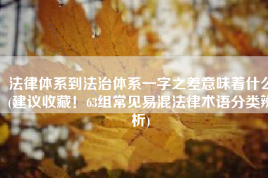 法律体系到法治体系一字之差意味着什么(建议收藏！63组常见易混法律术语分类辨析)