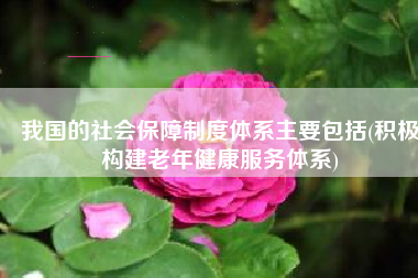 我国的社会保障制度体系主要包括(积极构建老年健康服务体系)