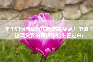 学生如何向银行申请贷款(免息！申请了这项贷款的高校毕业生看过来)