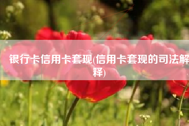 银行卡信用卡套现(信用卡套现的司法解释)