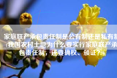 家庭联产承包责任制是公有制还是私有制(我国农村土地为什么要实行家庭联产承包责任制，还要确权、颁证？)