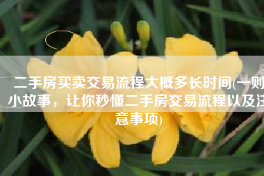 二手房买卖交易流程大概多长时间(一则小故事，让你秒懂二手房交易流程以及注意事项)