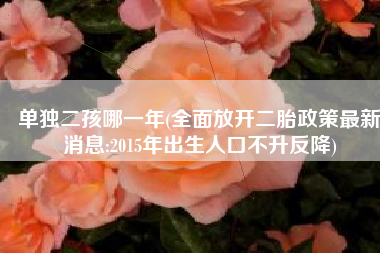 单独二孩哪一年(全面放开二胎政策最新消息:2015年出生人口不升反降)