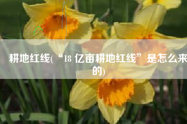 耕地红线(“18 亿亩耕地红线”是怎么来的)